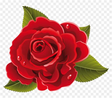 flores vector|imagenes de flores bonitas.
